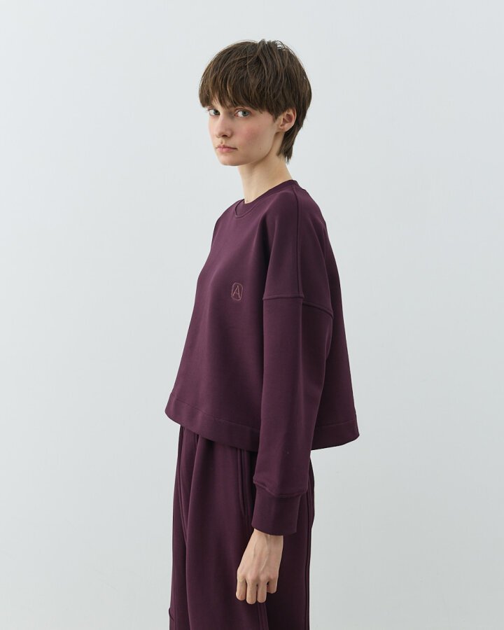 Diagonal Üç İplik Crop Sweat Mürdüm - Aybikestil (1)