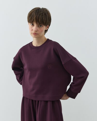 Diagonal Üç İplik Crop Sweat Mürdüm 