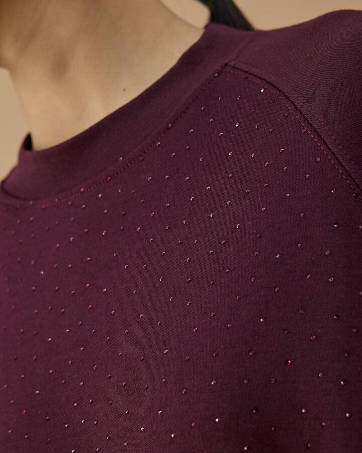 Penye İnterlok Taşlı Relax Bluz Mürdüm - Aybikestil (1)